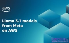 Meta Llama 3.1及Mistral Large 2模型在AWS正式可用，為打造生成式AI應用提供更多選擇