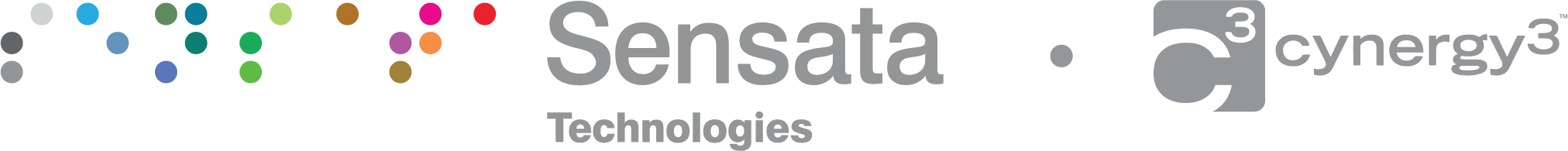 Image of Cynergy3 Logo